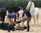 Image 13 in HOUSEHOLD CAVALRY AT HOLKHAM