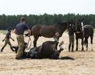 Image 14 in HOUSEHOLD CAVALRY AT HOLKHAM