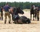 Image 15 in HOUSEHOLD CAVALRY AT HOLKHAM