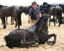 Image 16 in HOUSEHOLD CAVALRY AT HOLKHAM