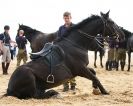 Image 17 in HOUSEHOLD CAVALRY AT HOLKHAM