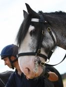 Image 18 in HOUSEHOLD CAVALRY AT HOLKHAM