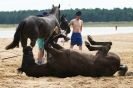 Image 21 in HOUSEHOLD CAVALRY AT HOLKHAM