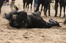 Image 22 in HOUSEHOLD CAVALRY AT HOLKHAM