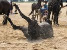 Image 23 in HOUSEHOLD CAVALRY AT HOLKHAM