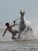 Image 28 in HOUSEHOLD CAVALRY AT HOLKHAM