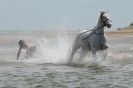 Image 29 in HOUSEHOLD CAVALRY AT HOLKHAM