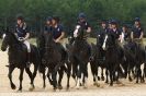 Image 3 in HOUSEHOLD CAVALRY AT HOLKHAM