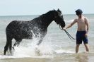 Image 38 in HOUSEHOLD CAVALRY AT HOLKHAM