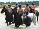 Image 46 in HOUSEHOLD CAVALRY AT HOLKHAM