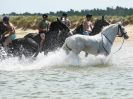 Image 47 in HOUSEHOLD CAVALRY AT HOLKHAM