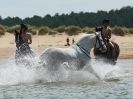 Image 49 in HOUSEHOLD CAVALRY AT HOLKHAM