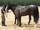 Image 51 in HOUSEHOLD CAVALRY AT HOLKHAM