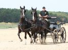 Image 53 in HOUSEHOLD CAVALRY AT HOLKHAM