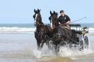 Image 55 in HOUSEHOLD CAVALRY AT HOLKHAM