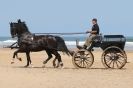 Image 58 in HOUSEHOLD CAVALRY AT HOLKHAM