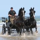 Image 59 in HOUSEHOLD CAVALRY AT HOLKHAM