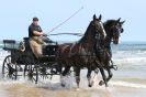 Image 60 in HOUSEHOLD CAVALRY AT HOLKHAM