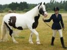 Image 102 in ADVENTURE  RIDING  CLUB  OPEN  SHOW  6  JULY  2014
