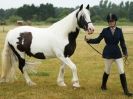 Image 102 in ADVENTURE RIDING CLUB OPEN SHOW 6 JULY 2014