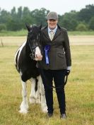 Image 105 in ADVENTURE RIDING CLUB OPEN SHOW 6 JULY 2014