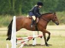 Image 110 in ADVENTURE RIDING CLUB OPEN SHOW 6 JULY 2014