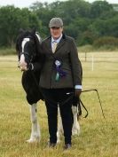 Image 120 in ADVENTURE RIDING CLUB OPEN SHOW 6 JULY 2014