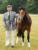 Image 125 in ADVENTURE RIDING CLUB OPEN SHOW 6 JULY 2014