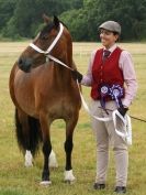 Image 126 in ADVENTURE RIDING CLUB OPEN SHOW 6 JULY 2014
