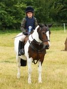 Image 15 in ADVENTURE  RIDING  CLUB  OPEN  SHOW  6  JULY  2014