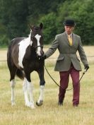 Image 16 in ADVENTURE  RIDING  CLUB  OPEN  SHOW  6  JULY  2014