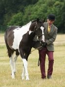 Image 17 in ADVENTURE  RIDING  CLUB  OPEN  SHOW  6  JULY  2014