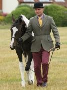 Image 21 in ADVENTURE  RIDING  CLUB  OPEN  SHOW  6  JULY  2014