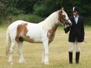 Image 23 in ADVENTURE  RIDING  CLUB  OPEN  SHOW  6  JULY  2014