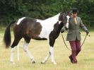 Image 25 in ADVENTURE  RIDING  CLUB  OPEN  SHOW  6  JULY  2014