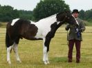 Image 27 in ADVENTURE  RIDING  CLUB  OPEN  SHOW  6  JULY  2014