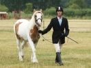 Image 33 in ADVENTURE RIDING CLUB OPEN SHOW 6 JULY 2014