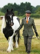 Image 34 in ADVENTURE RIDING CLUB OPEN SHOW 6 JULY 2014