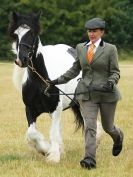 Image 36 in ADVENTURE  RIDING  CLUB  OPEN  SHOW  6  JULY  2014