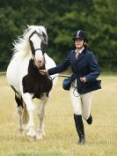 Image 38 in ADVENTURE  RIDING  CLUB  OPEN  SHOW  6  JULY  2014