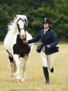 Image 38 in ADVENTURE RIDING CLUB OPEN SHOW 6 JULY 2014
