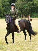 Image 40 in ADVENTURE RIDING CLUB OPEN SHOW 6 JULY 2014