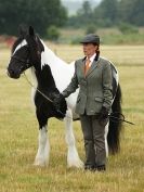 Image 42 in ADVENTURE  RIDING  CLUB  OPEN  SHOW  6  JULY  2014