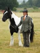 Image 42 in ADVENTURE RIDING CLUB OPEN SHOW 6 JULY 2014