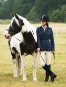 Image 43 in ADVENTURE RIDING CLUB OPEN SHOW 6 JULY 2014