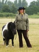 Image 44 in ADVENTURE RIDING CLUB OPEN SHOW 6 JULY 2014