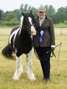 Image 47 in ADVENTURE  RIDING  CLUB  OPEN  SHOW  6  JULY  2014