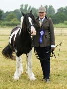 Image 47 in ADVENTURE RIDING CLUB OPEN SHOW 6 JULY 2014