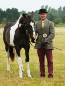 Image 48 in ADVENTURE RIDING CLUB OPEN SHOW 6 JULY 2014