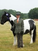 Image 50 in ADVENTURE  RIDING  CLUB  OPEN  SHOW  6  JULY  2014